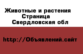  Животные и растения - Страница 5 . Свердловская обл.